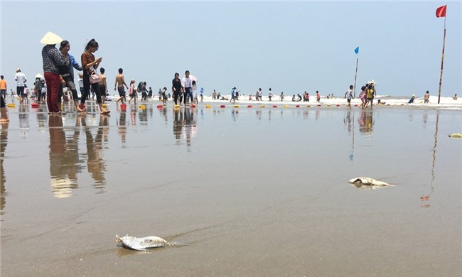 nghỉ lễ 30/4, biển Sầm Sơn, tắm biển, cá chết, Sầm Sơn