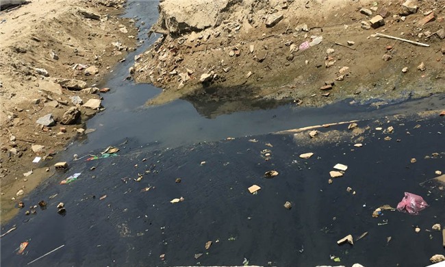 nghỉ lễ 30/4, biển Sầm Sơn, tắm biển, cá chết, Sầm Sơn