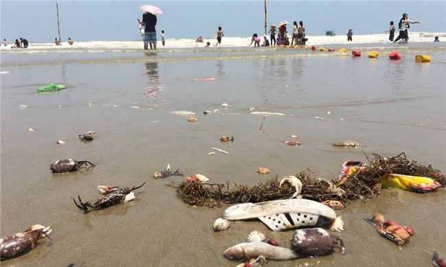 nghỉ lễ 30/4, biển Sầm Sơn, tắm biển, cá chết, Sầm Sơn
