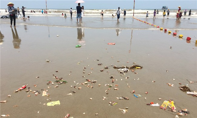nghỉ lễ 30/4, biển Sầm Sơn, tắm biển, cá chết, Sầm Sơn