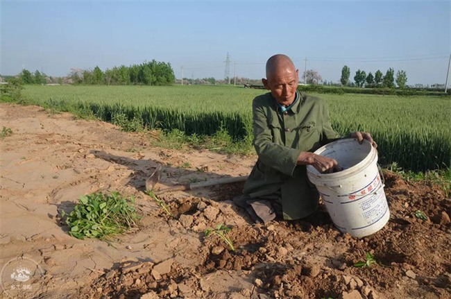Mất cả hai chân, ông lão vẫn chăm sóc gia đình suốt 40 năm - Ảnh 1.