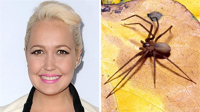 Sinh vật bé nhỏ trú ngụ ngay trong căn nhà bạn có thể gây phát ban, hoại tử mà ít ai để ý - Ảnh 1.