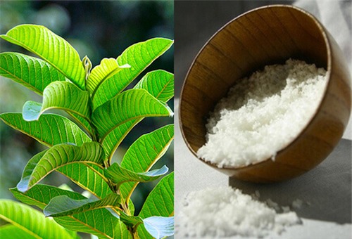 chuan bi 1 nam la oi va 1 nhum muoi ban se danh sach "rau mui" chi trong tich tac - 1