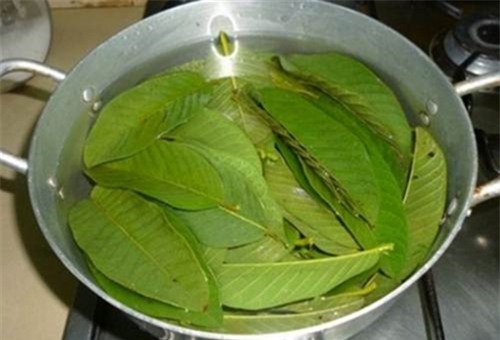 chuan bi 1 nam la oi va 1 nhum muoi ban se danh sach "rau mui" chi trong tich tac - 2