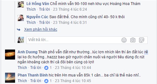 Hinh anh 6