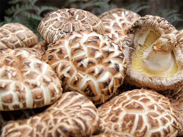 đặc sản nhà giàu, nấm hương, hàng Nhật Bản, thực phẩm sạch