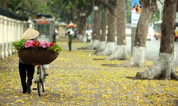 Dự báo thời tiết, bản tin thời tiết, tin thời tiết, thời tiết Hà Nội, nắng nóng, không khí lạnh
