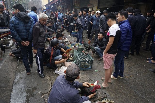 chợ, khu chợ độc đáo, chợ đá quý, chợ côn trùng,