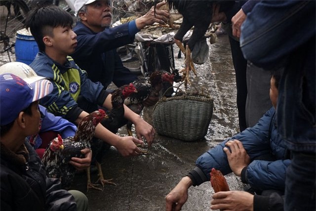 chợ, khu chợ độc đáo, chợ đá quý, chợ côn trùng,