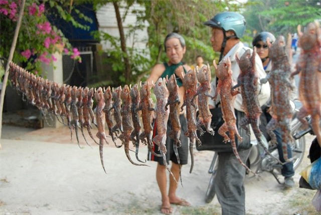 chợ, khu chợ độc đáo, chợ đá quý, chợ côn trùng,