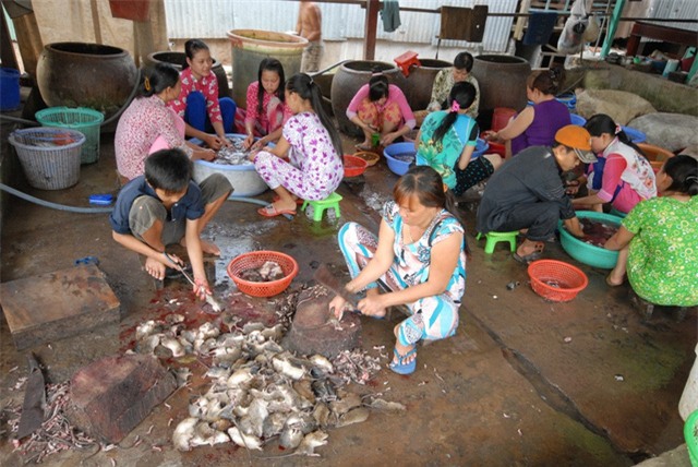 chợ, khu chợ độc đáo, chợ đá quý, chợ côn trùng,