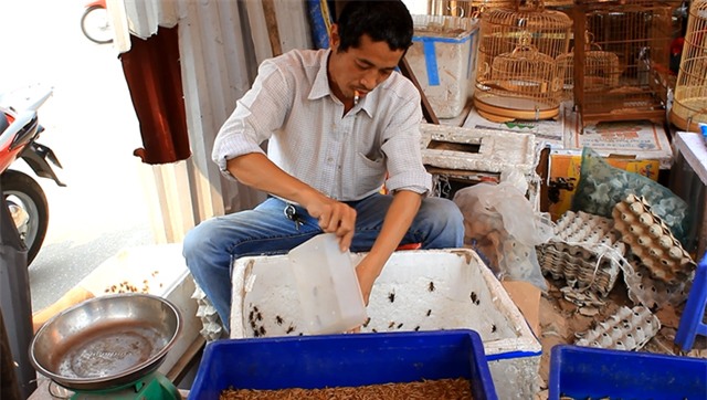 chợ, khu chợ độc đáo, chợ đá quý, chợ côn trùng,