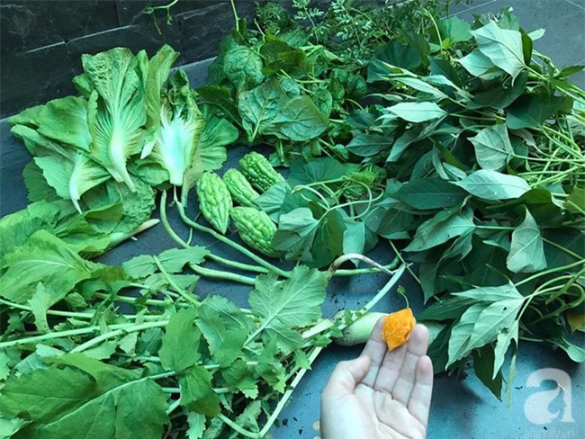 Sân thượng 10m² xanh mướt của bà mẹ dám bỏ sự nghiệp để ở nhà trồng rau, chăm con - Ảnh 18.