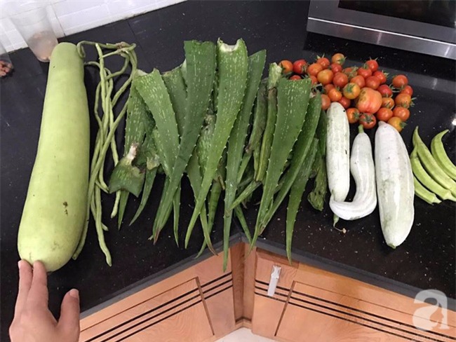 Sân thượng 10m² xanh mướt của bà mẹ dám bỏ sự nghiệp để ở nhà trồng rau, chăm con - Ảnh 19.