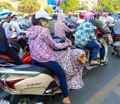 1001 cách chống nắng kinh dị của chị em khiến anh em bàng hoàng - Ảnh 5.