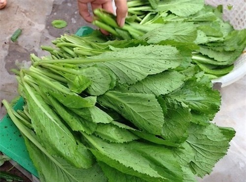 Bạn nên chú ý khi chọn rau cải.