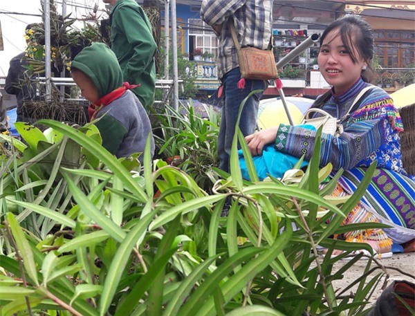 ngam khu ban hoa lan doc dao o cho phien bac ha hinh anh 7