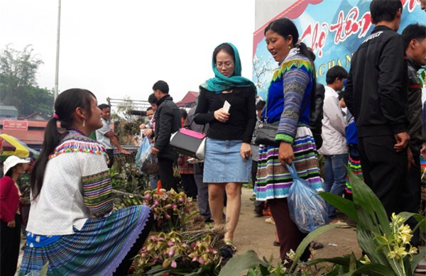 ngam khu ban hoa lan doc dao o cho phien bac ha hinh anh 9