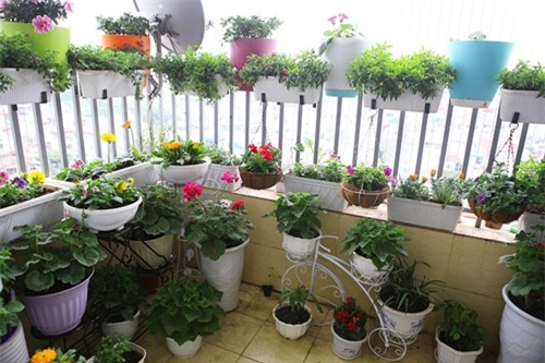 nha da "kho" ma hay dat nhung vat nay o ban cong thi muon doi van ngheo - 1