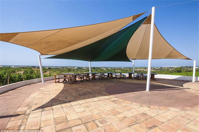 biet thu nha vuon 135 ty ai nhin cung me hinh anh 8