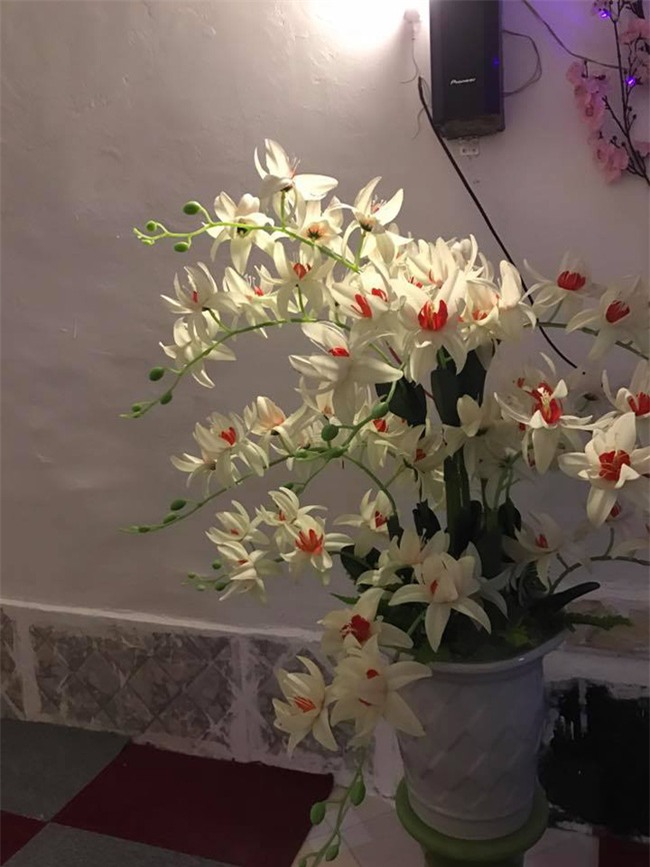 cuoc song hiep ga the nao sau qua khu day ray scandal? hinh anh 13