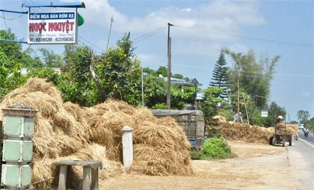 Quảng Ngãi: Nhiều người tranh mua, rơm "đắt như tôm tươi" - 7