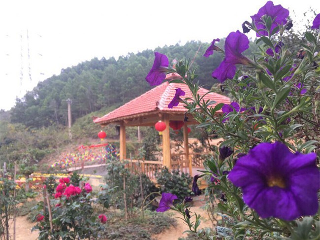 Clip: Em bé Lào Cai suy dinh dưỡng ngày nào nay đã biết cười vui bên mẹ nuôi 9X - Ảnh 6.