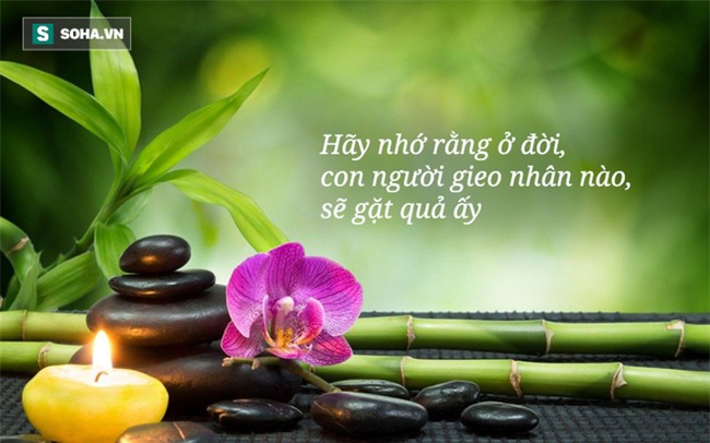 Giúp cha già đã khuất trả nợ, người con trai không ngờ có ngày nhận được khối tài sản lớn - Ảnh 2.