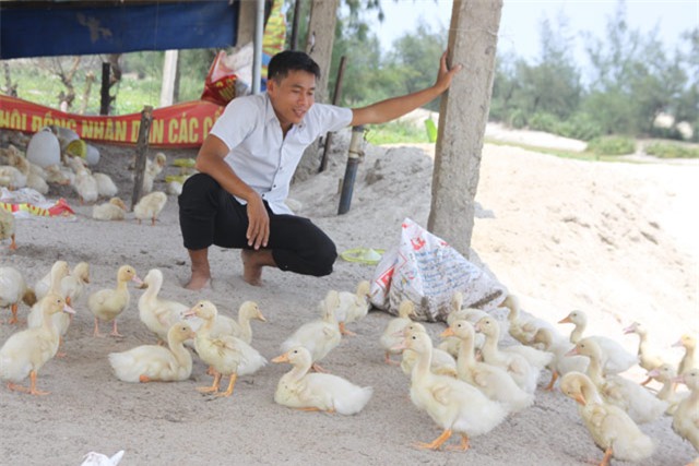 co khung khong khi bo luong 20 trieu ve nuoi vit bien? hinh anh 1