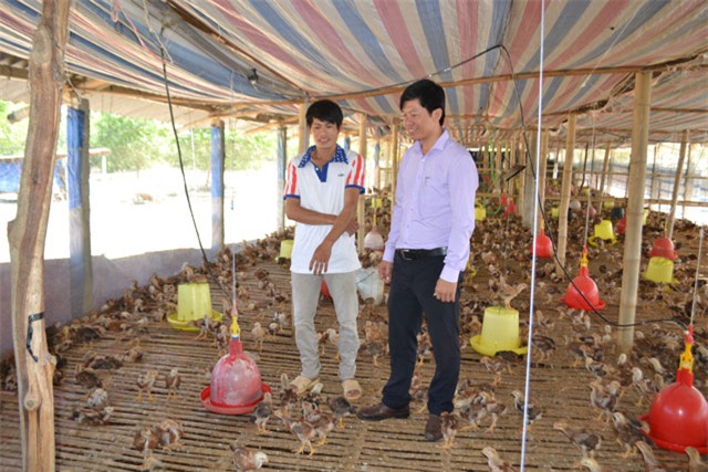 co khung khong khi bo luong 20 trieu ve nuoi vit bien? hinh anh 2