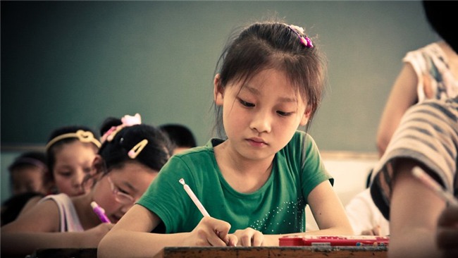 homeschool, học tại nhà, giáo dục Việt Nam, bệnh thành tích