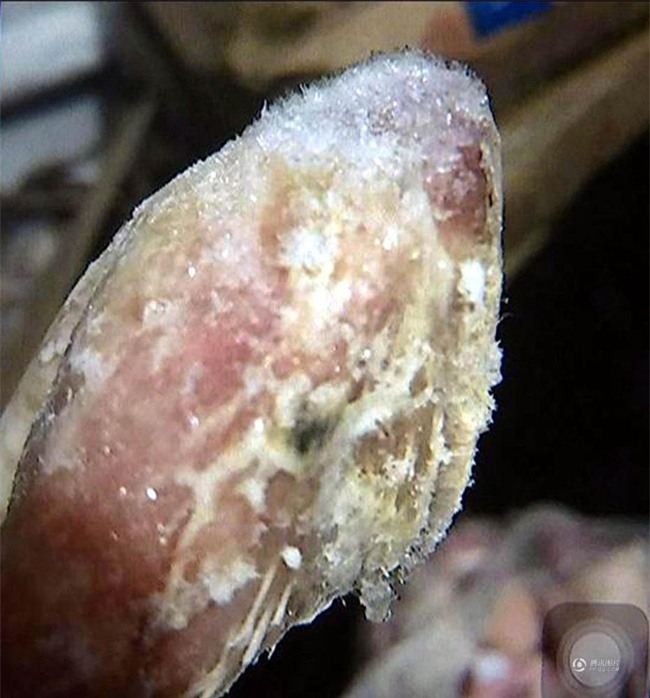 Cha mẹ bức xúc tố nhà bếp trường tiểu học dùng khoai tây mọc mầm và thịt gà mốc - Ảnh 2.