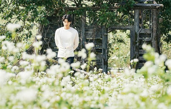 Top 6 cung Hoàng đạo nam có nhiều người thầm thương trộm nhớ nhất - Ảnh 1.