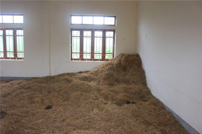 dạy nghề, giáo dục thường xuyên