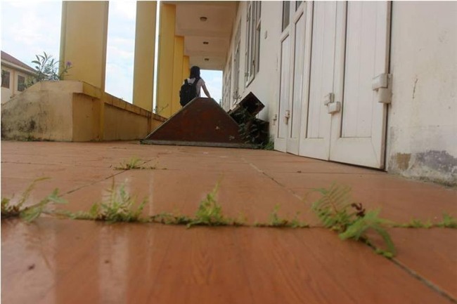 dạy nghề, giáo dục thường xuyên