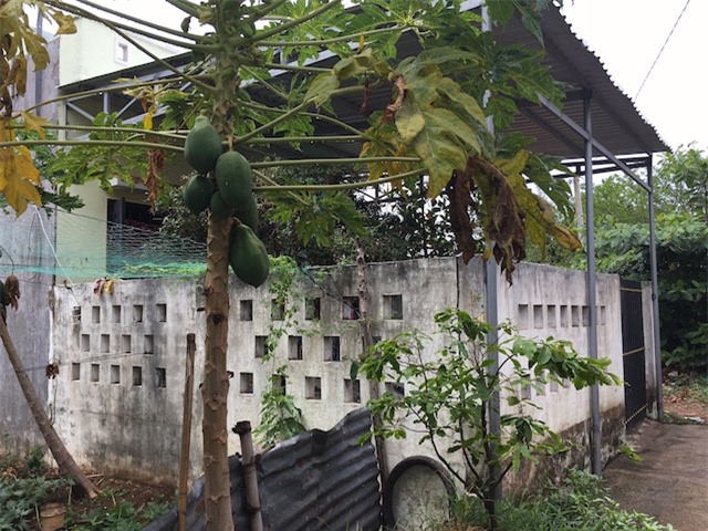 30 ngay lap ke hoach cuop ngan hang hon 2 ty dong hinh anh 4