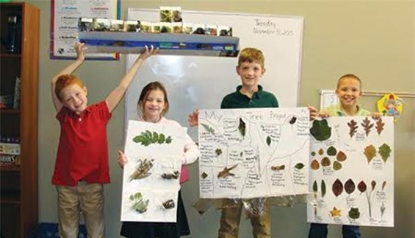 homeschool, học tại nhà, giáo dục Việt Nam, bệnh thành tích