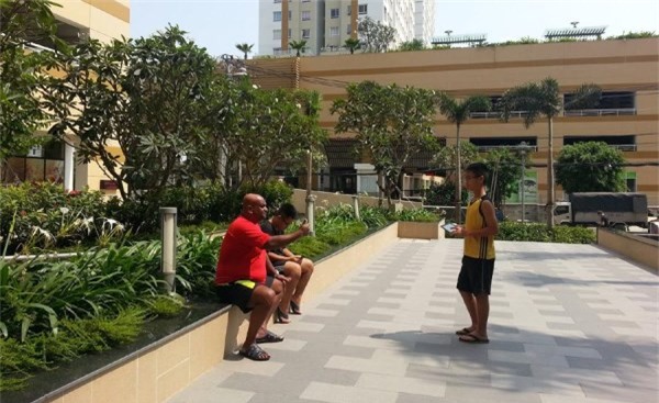 homeschool, học tại nhà, giáo dục Việt Nam, bệnh thành tích