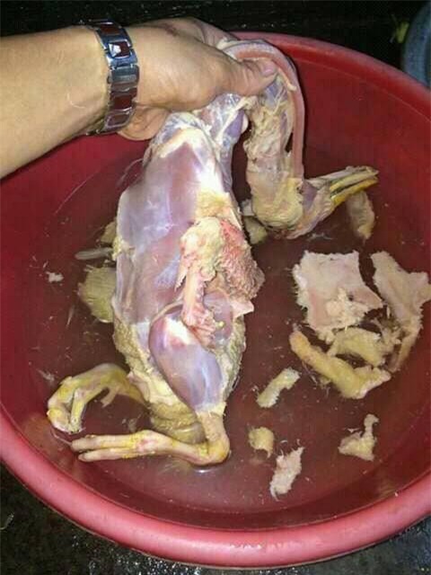 nhổ lông vịt, nhổ lông, cô gái nhổ lông vịt