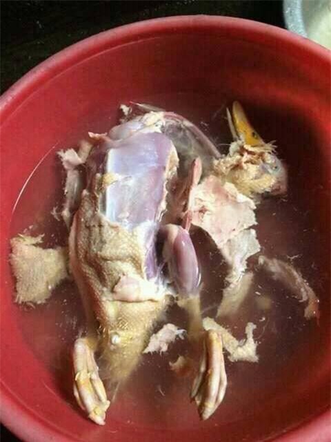 nhổ lông vịt, nhổ lông, cô gái nhổ lông vịt