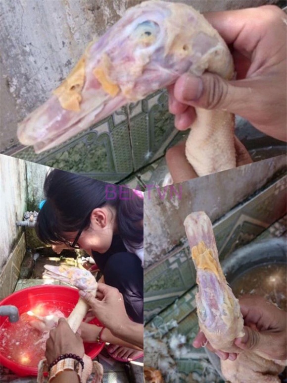 nhổ lông vịt, nhổ lông, cô gái nhổ lông vịt