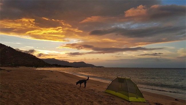 Cắm trại đêm, đón bình minh ở biển Vĩnh Hảo - Ảnh 6.