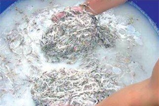 yến sào, yến giả, yến giá rẻ