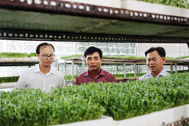 “muot mat” xem vuon rau mam “5 khong” thu loi hang ty dong moi nam hinh anh 1