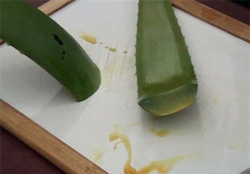 dong da nha dam roi cha len mat moi ngay da den bam sinh cung phai bat len 2 - 3 tone - 3