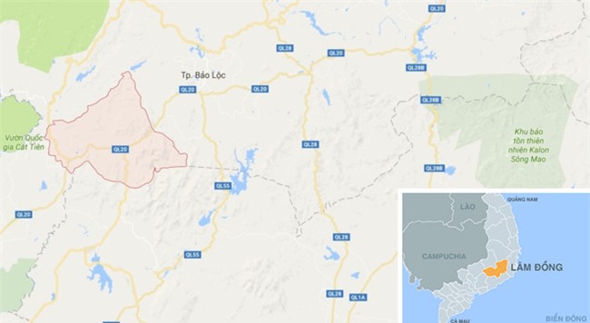 Chem chet ke trom sau rieng, thanh nien uong thuoc tu tu hinh anh 1