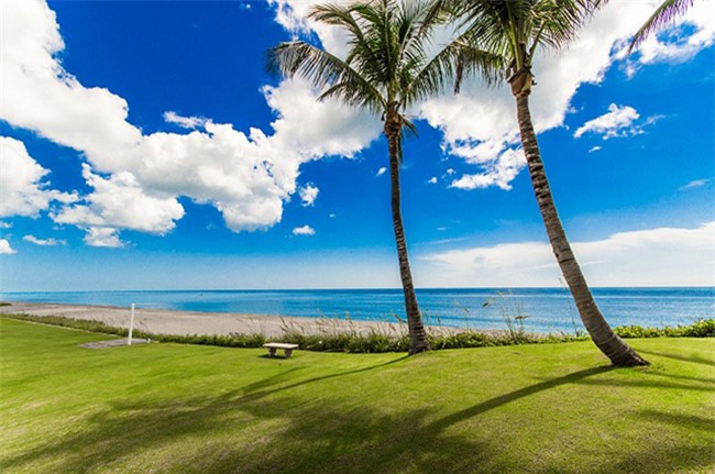 ngam biet thu 4 nam moi co nguoi “dam” mua cua danh ca celine dion hinh anh 20