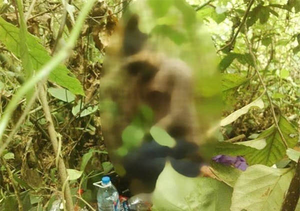 Phát hiện nam thanh niên chết trong tư thế ngồi ở bụi tre - 1