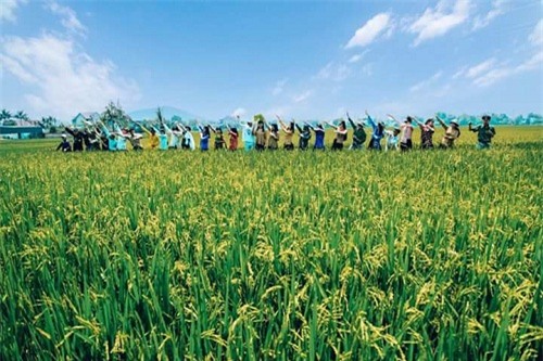 phia sau clip ky yeu 