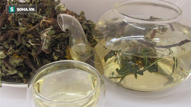 Một loại cây mọc hoang có ở Việt Nam: Dưỡng gan giải độc, làm sạch máu, giã rượu - Ảnh 2.